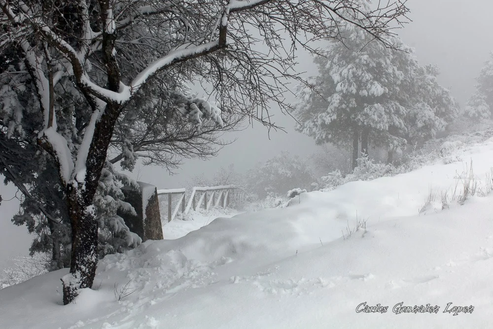 Subiendo al Cristo nevado
