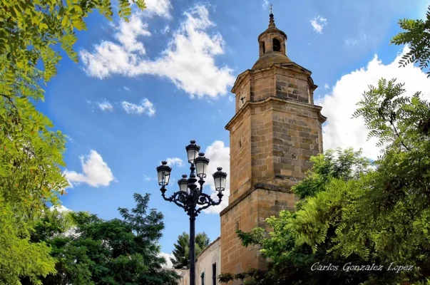 Torre del Reloj entre ramas, Huete (Cuenca)