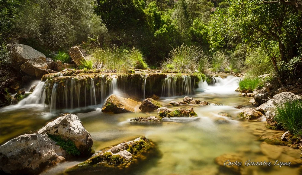Cazorla