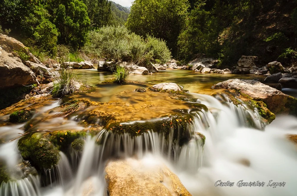 Cazorla