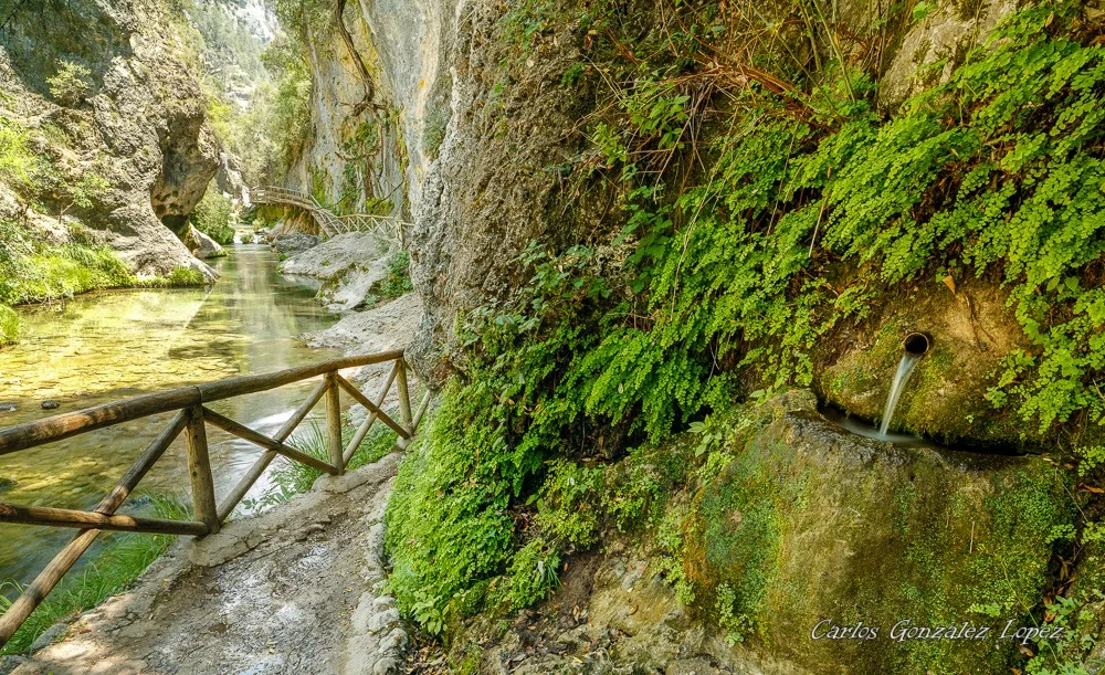 Cazorla