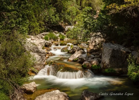 Cazorla