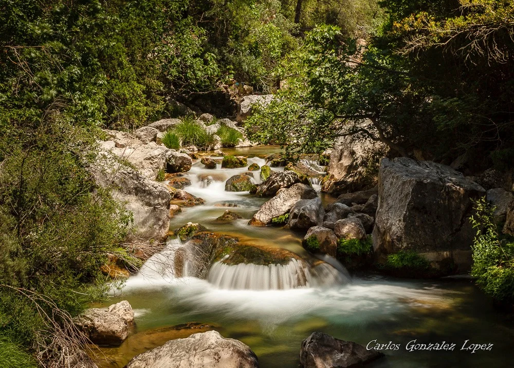 Cazorla