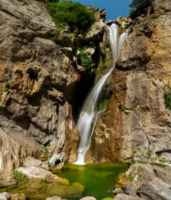Cazorla