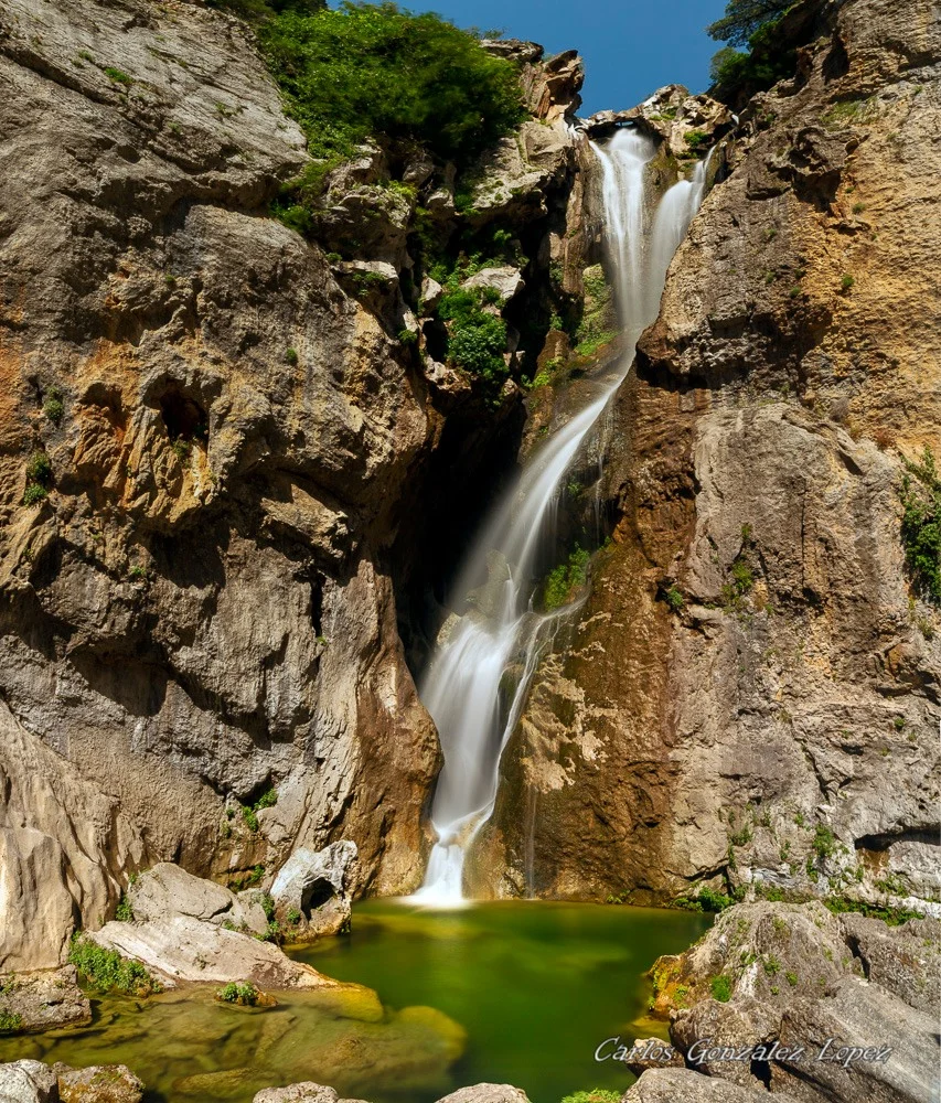 Cazorla