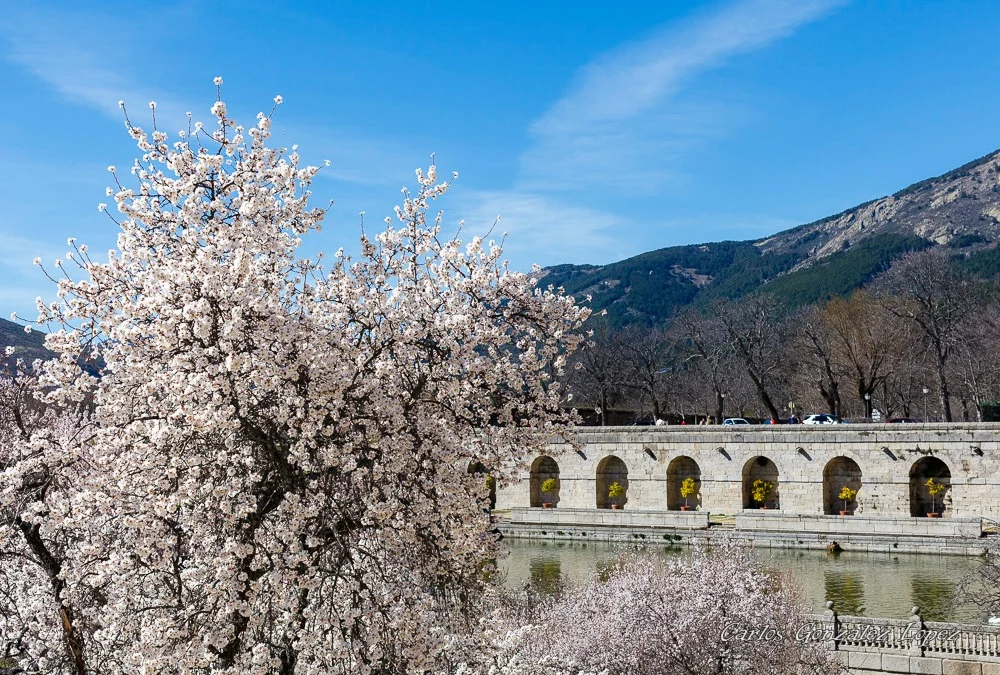El Escorial