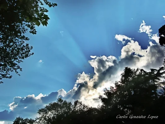Cielo en el Parque del Capricho, Madrid