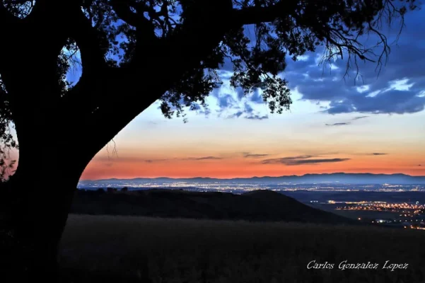 Anochecer en Torres de la Alameda (Madrid)