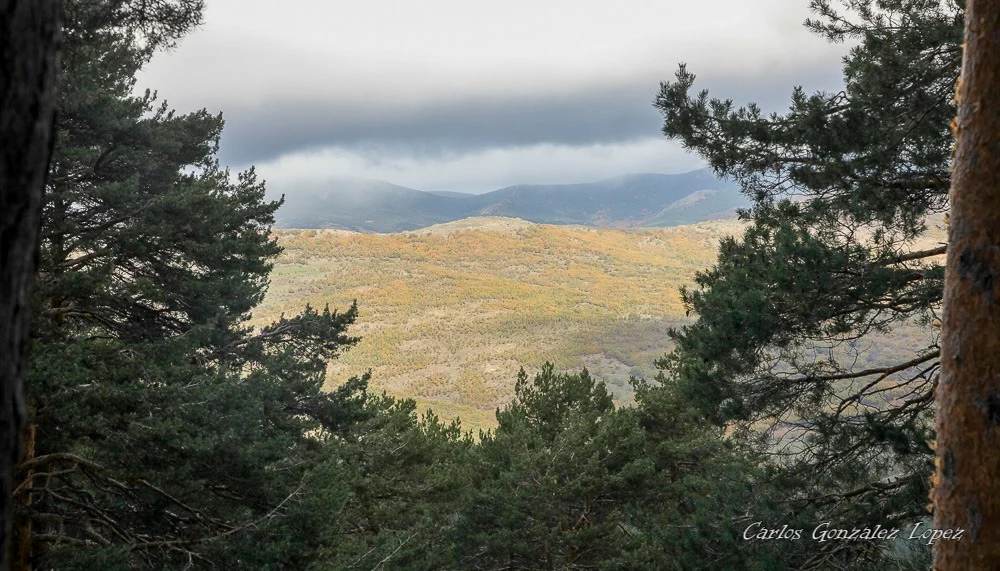 Ruta por Canencia
