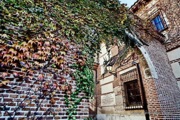 Alcala de Henares