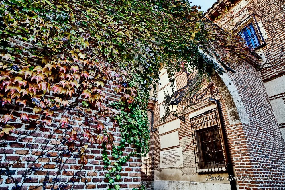 Alcala de Henares