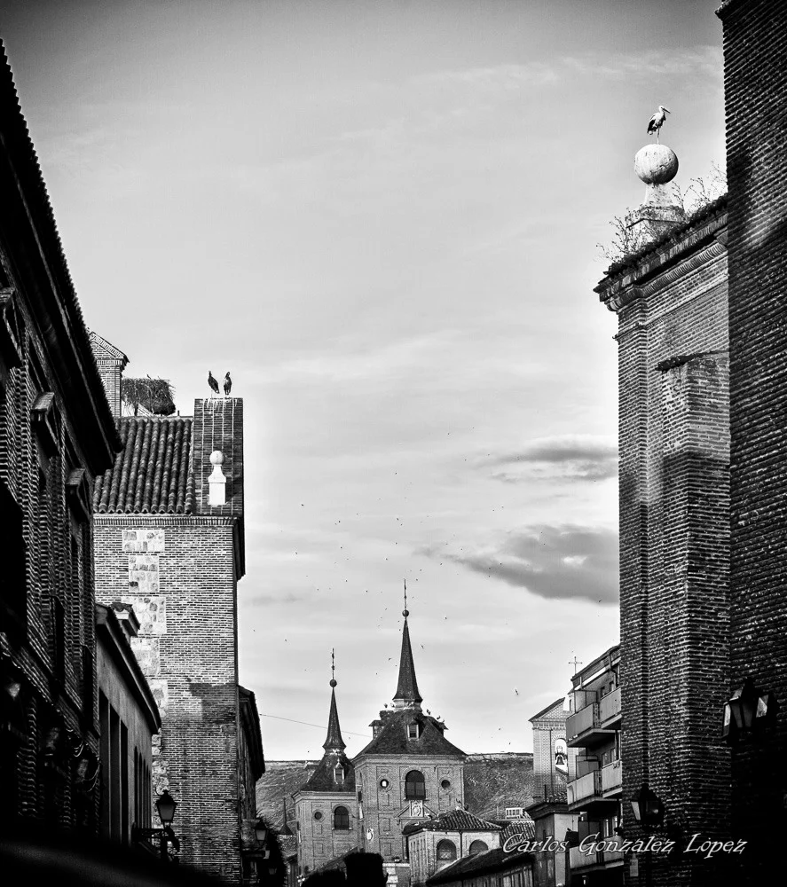 Calle del Colegio al atardecer, Alcala de Henares (Madrid)