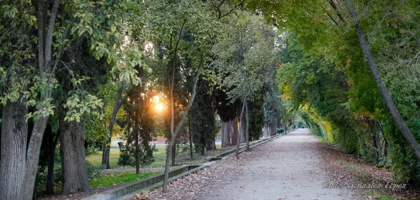 Aranjuez