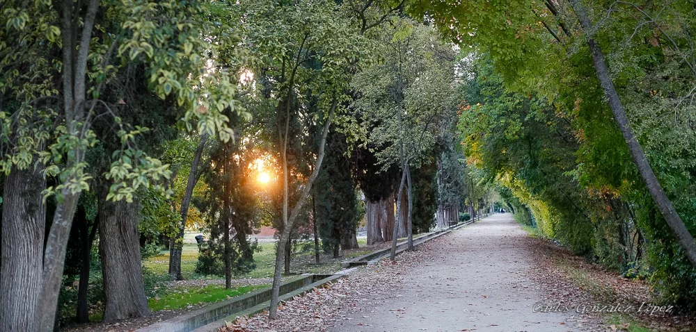 Aranjuez