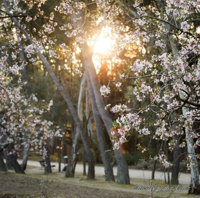 Parque Quinta de los Molinos