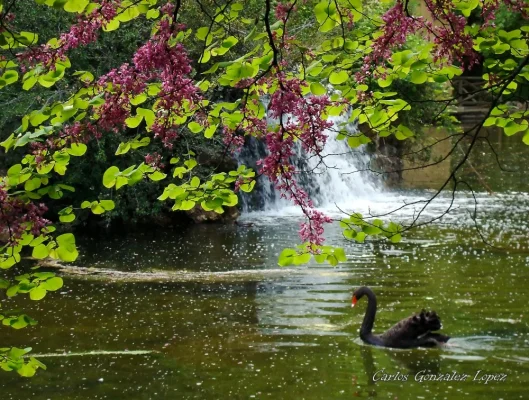 Parque El capricho Madrid