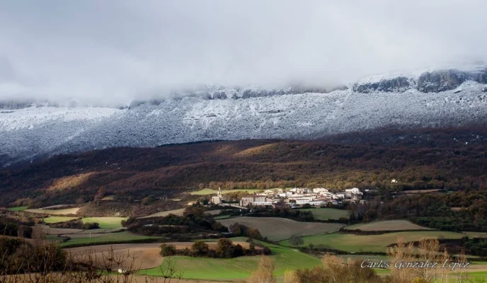 Selva de Irati