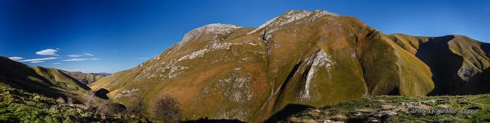 Selva de Irati