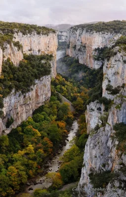 Selva Irati y Pamplona