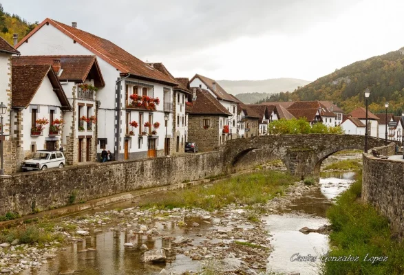 Selva Irati y Pamplona