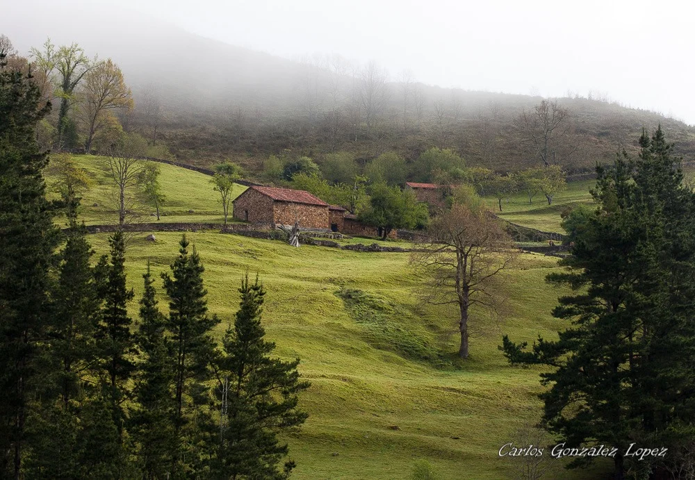 Santander