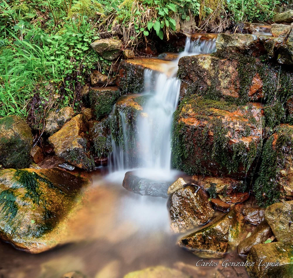 Eternamente agradecido. Parque Natural Saja-Besaya.Cantabria