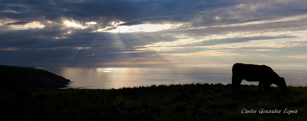 Santander