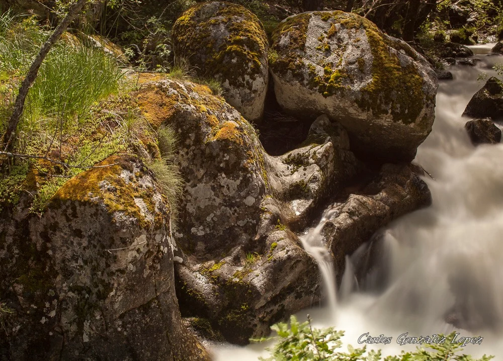 Ruta Pesquerias Reales