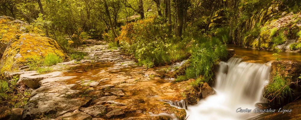 Ruta Pesquerias Reales