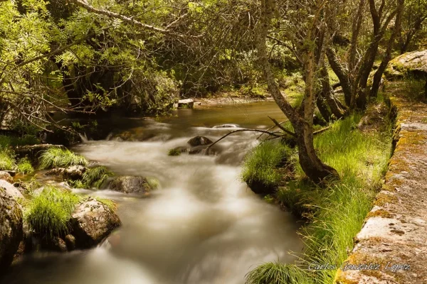 Ruta Pesquerias Reales