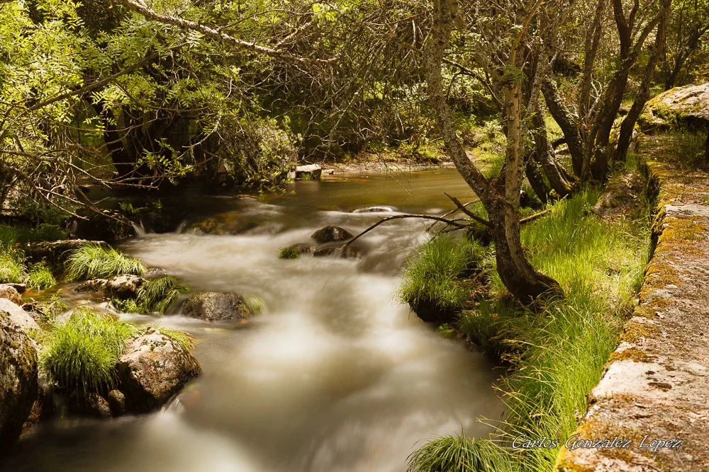 Ruta Pesquerias Reales