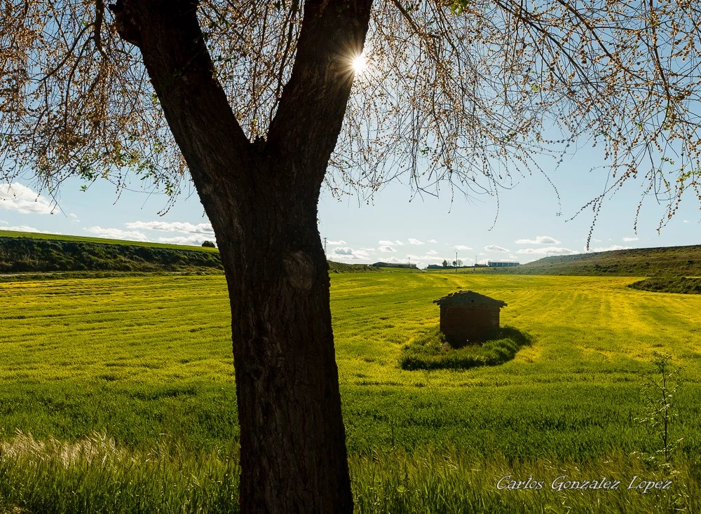 Senda de los Pescadores