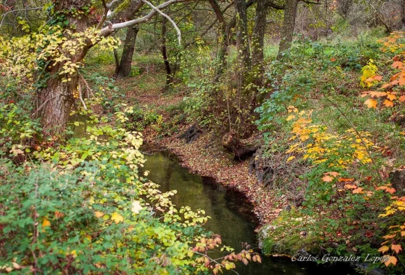 Ruta Hoces del río Duratón