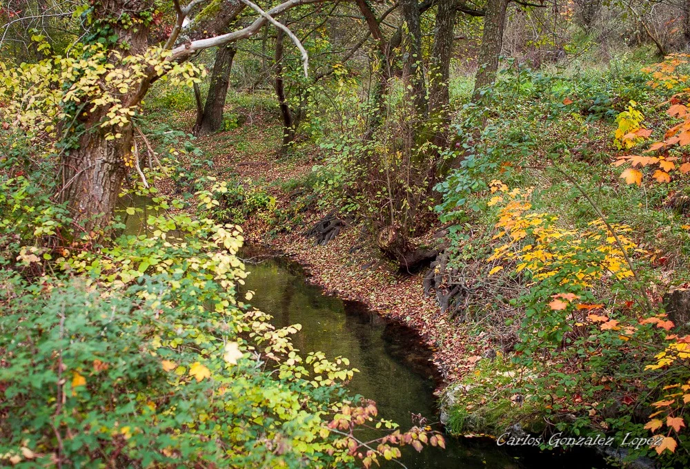 Ruta Hoces del río Duratón