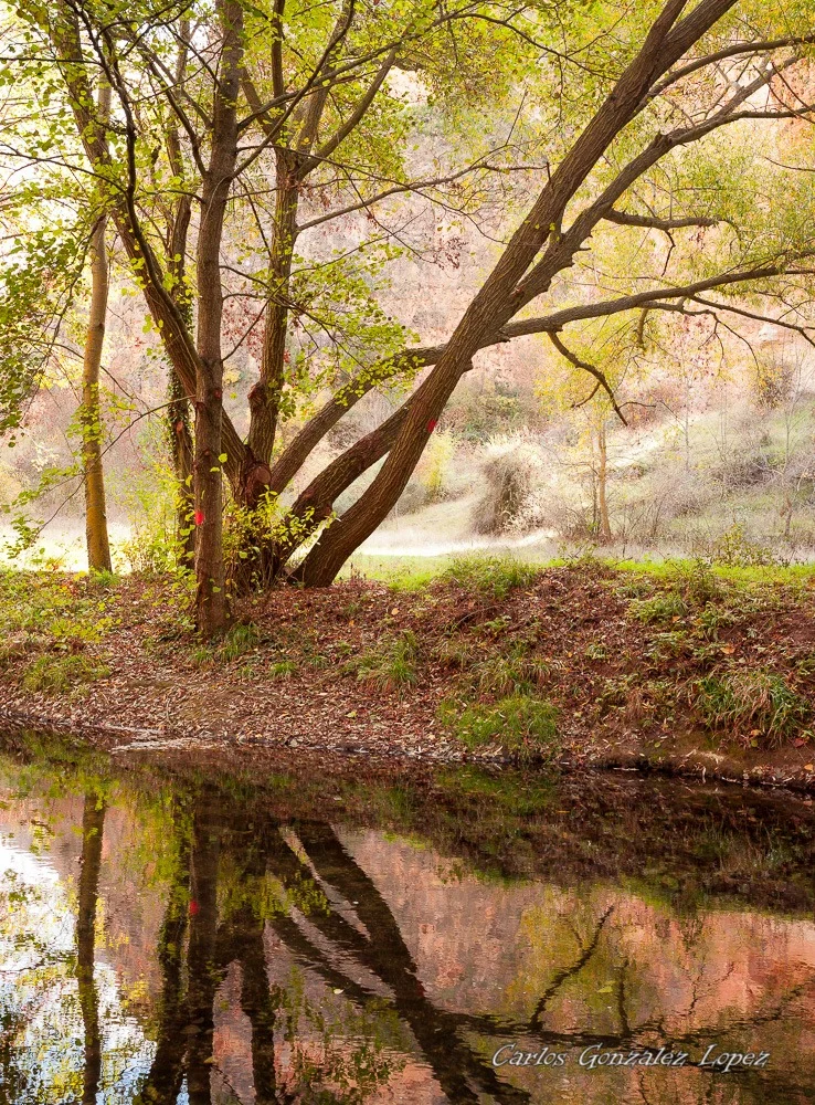 Ruta Hoces del río Duratón