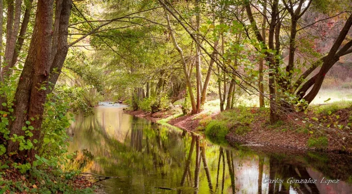 Ruta Hoces del río Duratón