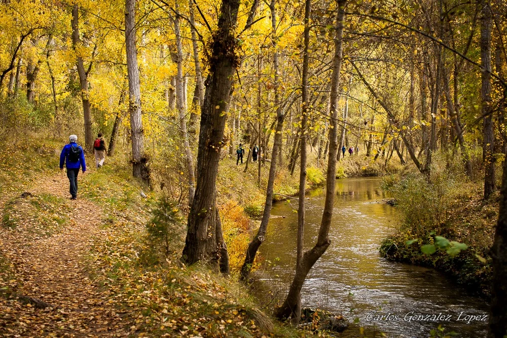 Ruta Hoces del río Duratón