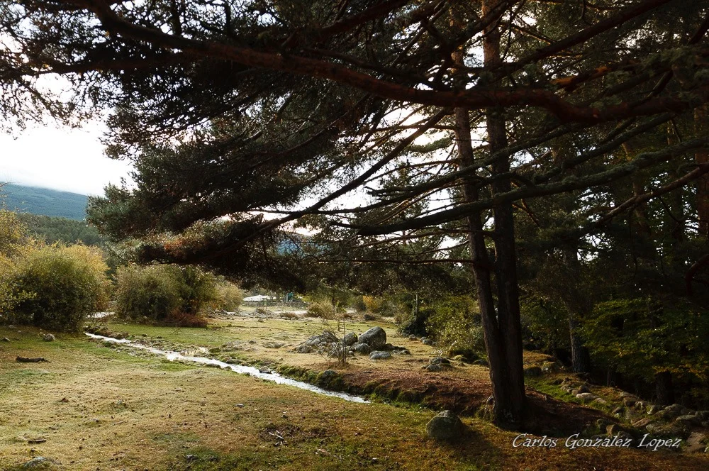 Laguna Negra