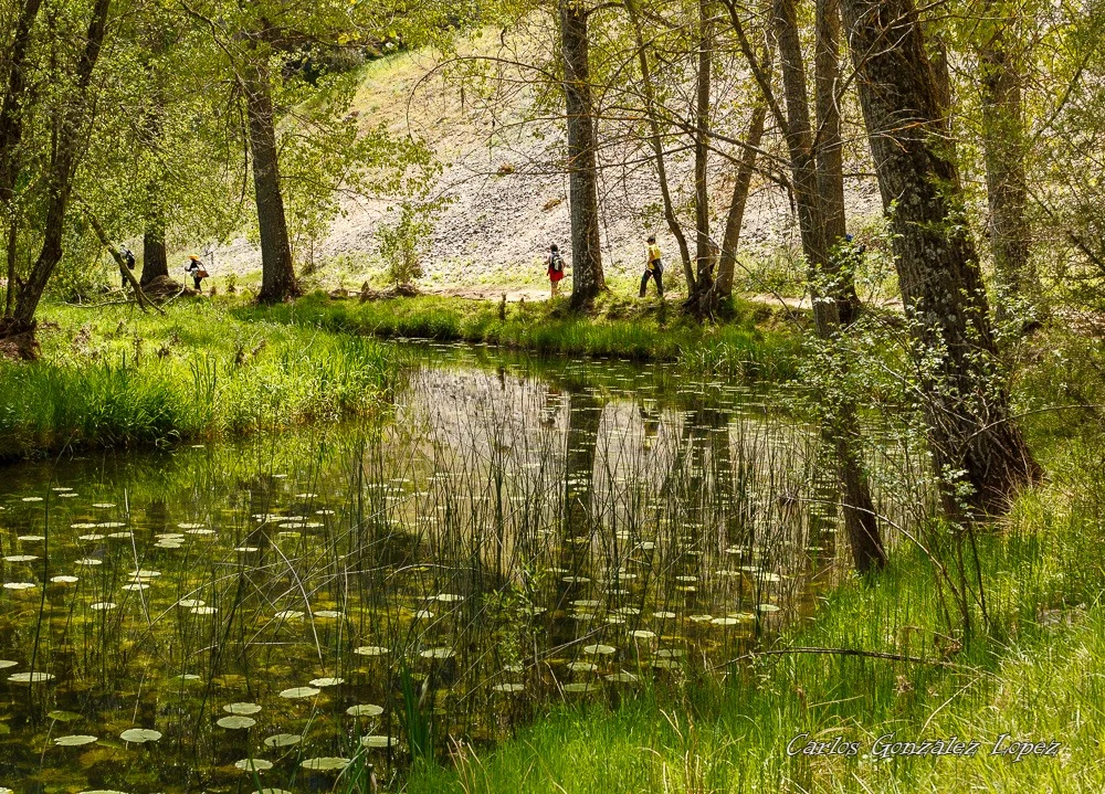 Cañon Rio Lobos Burgo de Osma
