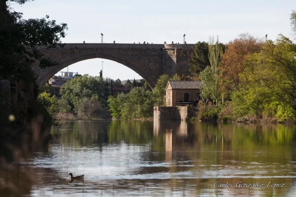 Toledo