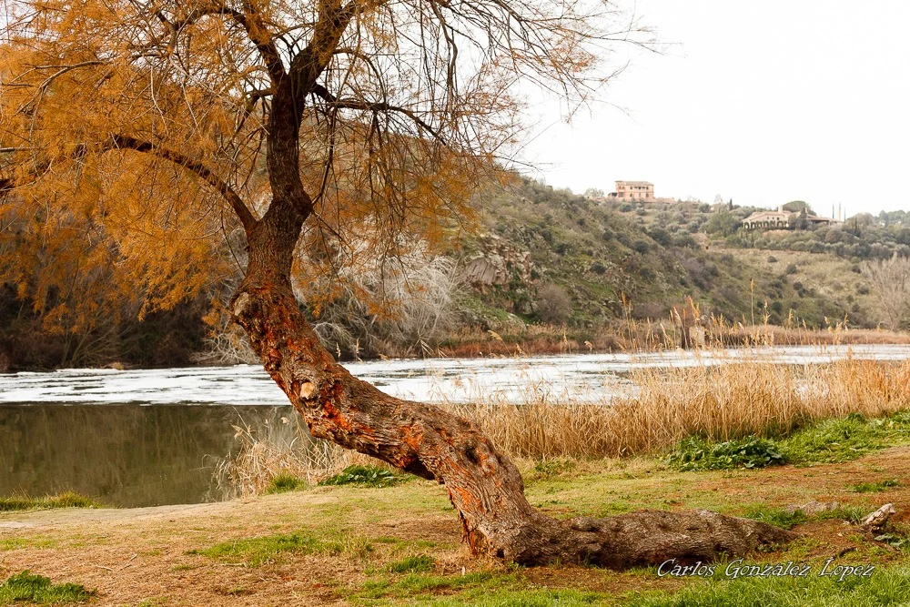 Ruta Cultural de Toledo