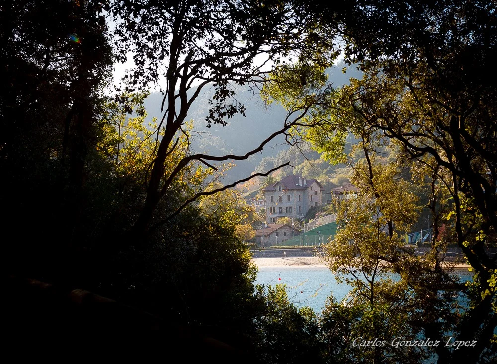 Vizcaya