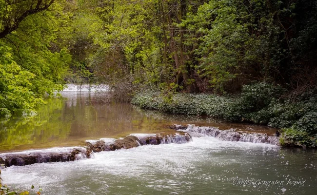 Monasterio de Piedra