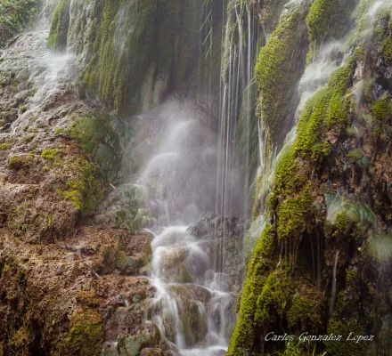 Monasterio de Piedra