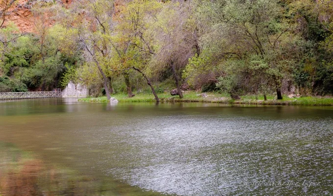 Monasterio de Piedra