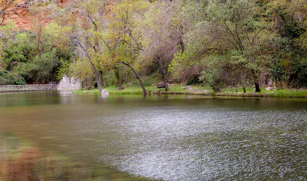 Monasterio de Piedra